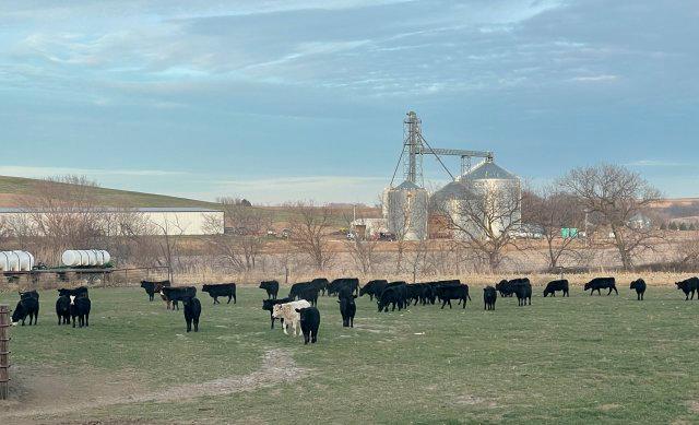 El alto precio de los fertilizantes está incidiendo en las decisiones de siembra en Estados Unidos