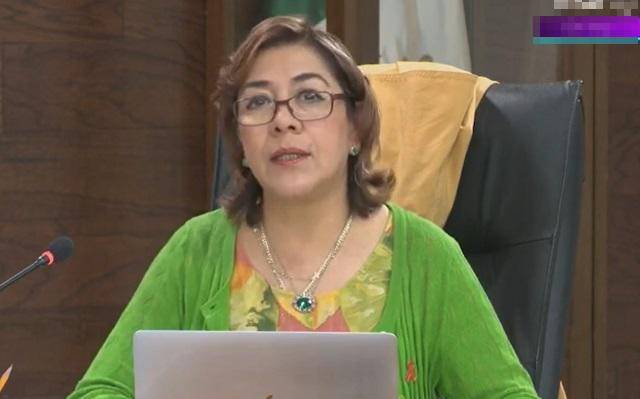 Josefina Román Vergara, Comisionada del INAI.