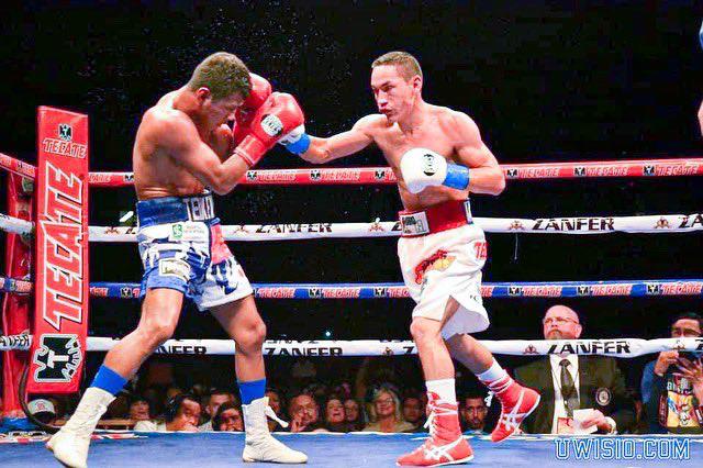 ‘Gallo’ Estrada y ‘Chocolatito’ González se medirán el próximo 5 de marzo