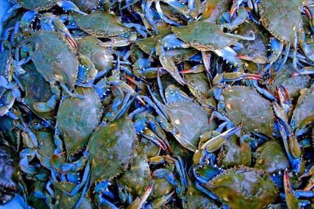 La contaminación crea una mala imagen del Municipio.