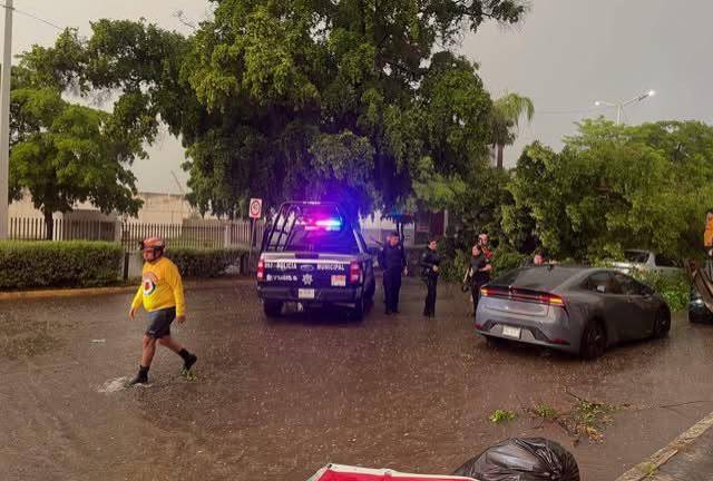 Lluvias dejaron árboles caídos y calles con acumulaciones de agua en sectores de Culiacán.