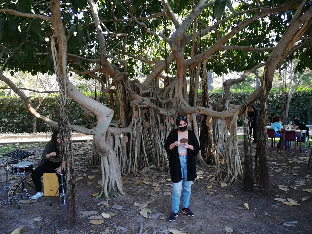 Intervendrán un árbol florecido de poemas, en primavera