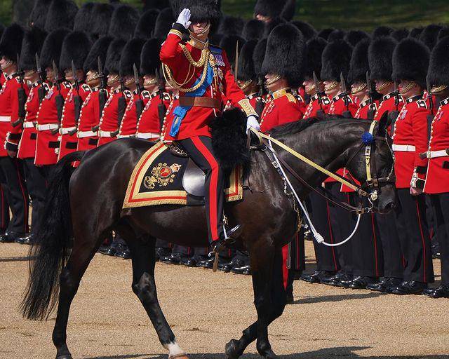 Guardias reales se desmayan en desfile ante el calor en Londres