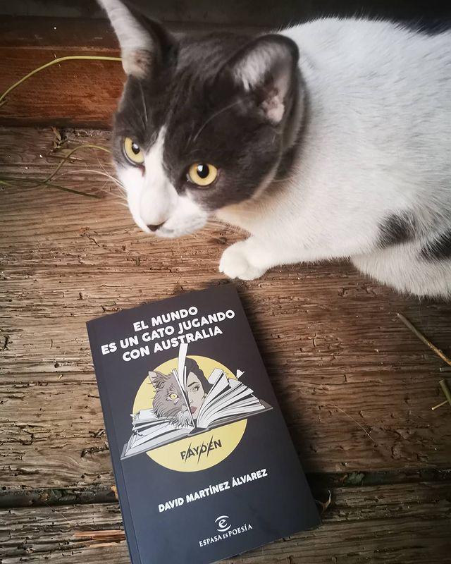$!Día Internacional del Gato: Inspiran los felinos a los escritores
