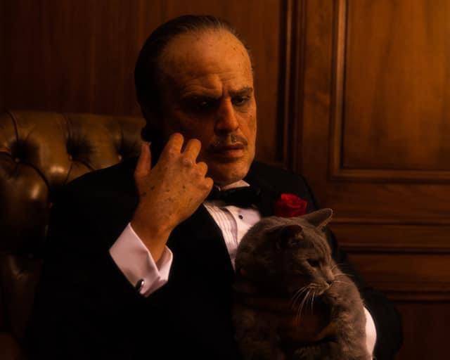 Las estrellas sacan su lado creativo en Halloween