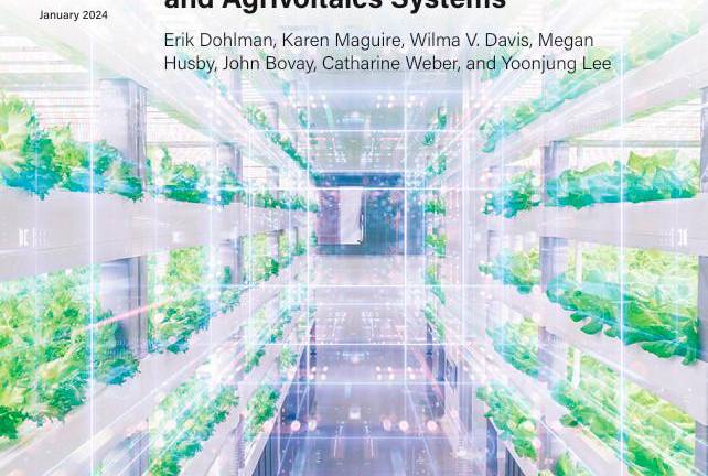 Tendencias y perspectivas de futuro para la producción en ambiente controlado y sistemas agrícolas agrivoltaicos