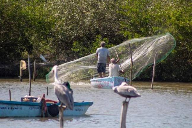 La Comisión Nacional de Acuacultura y Pesca informó sobre los periodos de veda para distintas especies en el País.