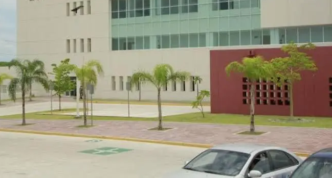 La Secretaría de Salud de Sinaloa informó el alta de la legisladora.