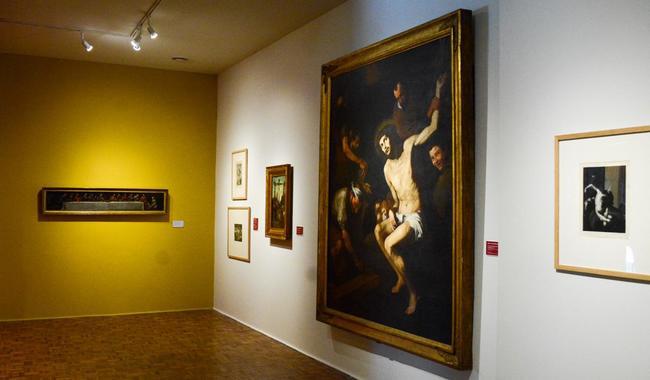 $!La muestra se exhibe en el Museo Nacional de San Carlos.