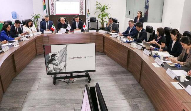Japón refrenda importación de aguacate y cárnicos mexicanos