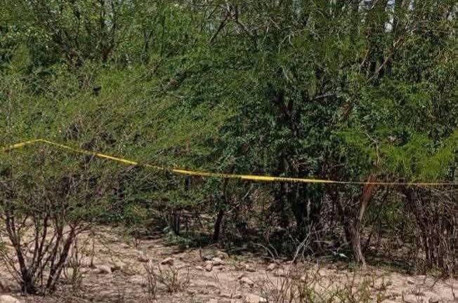 Peritos trasladaron los tres cuerpos al Semefo para realizar la necropsia e iniciar su identificación.