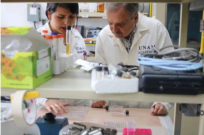 América Latina apura una vacuna propia. Cuba, adelante; México avanza. Pero no son los únicos