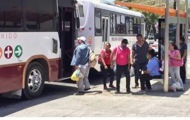 Transporte público en Culiacán operará al 50% en jueves y viernes santos