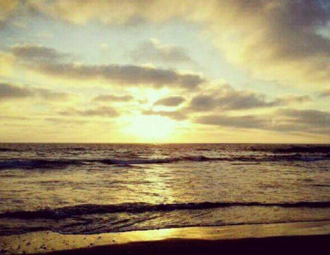 Lo que vi bajo la luz de la luna