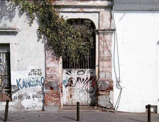 Una casona del centro de Culiacán tiene un extraño inquilino