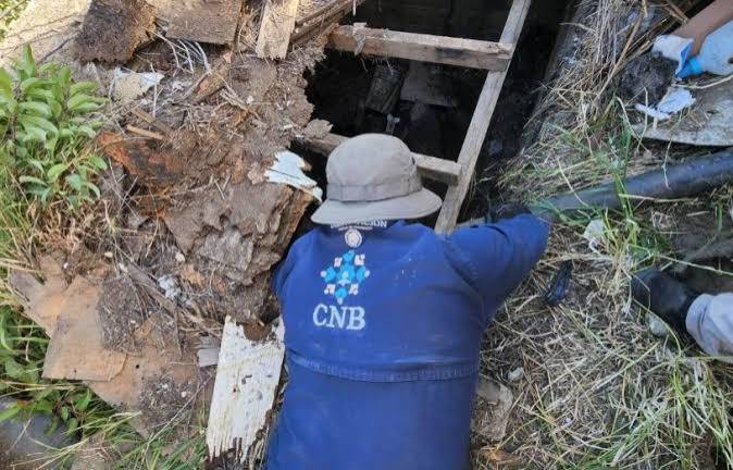 Personal de la Comisión Nacional de Búsqueda en un operativo en Baja California.