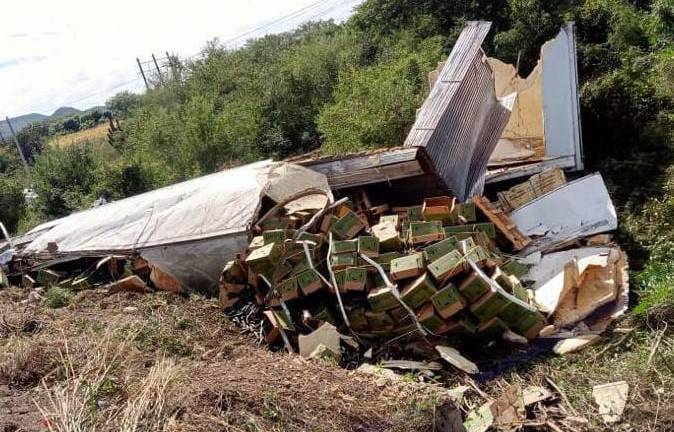 El conductor resultó ileso tras el accidente.
