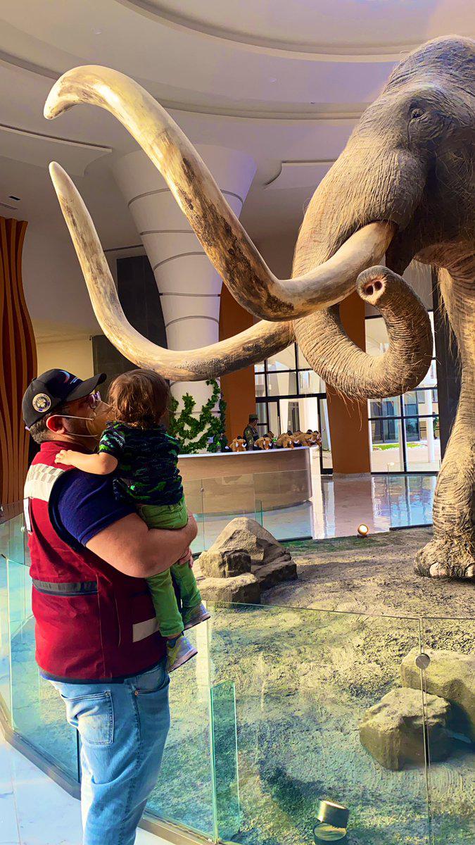 José Ramón López Beltrán, Carolyn Adams y nieto de AMLO, en inauguración  del AIFA