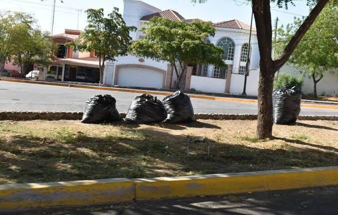 El Gobierno de Culiacán hizo una licitación de bolsas negras por 3.7 millones de pesos.