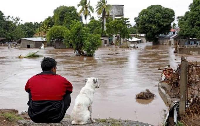 Sinaloa es de los estados con más pérdidas por catástrofes que ha originado el cambio climático.