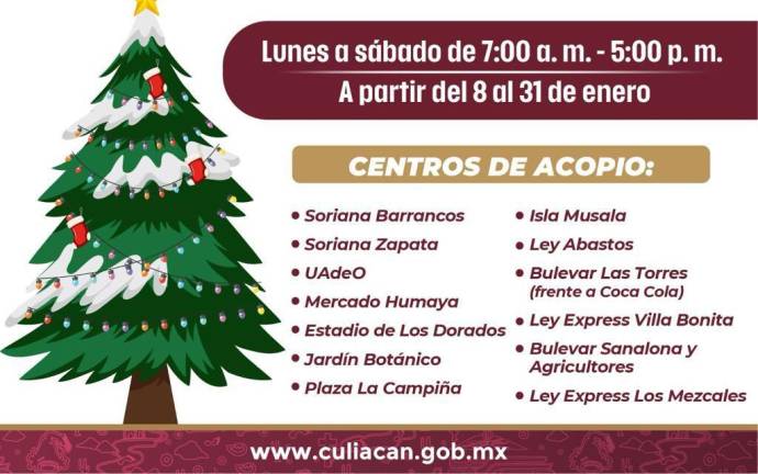 A partir de este lunes y hasta el 31 de enero, los árboles navideños estarán siendo recibidos en los centros de acopio instalados por el Ayuntamiento de Culiacán.