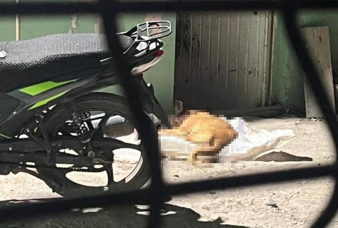 $!Ataque armado en Villa Juárez, Navolato, deja tres casas baleadas y un perro muerto