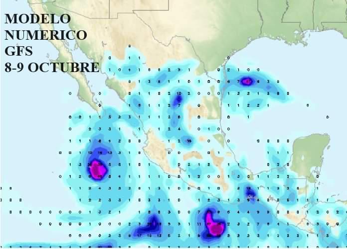 Próximas dos semanas podrían definir ciclo agrícola de Sinaloa, advierte especialista