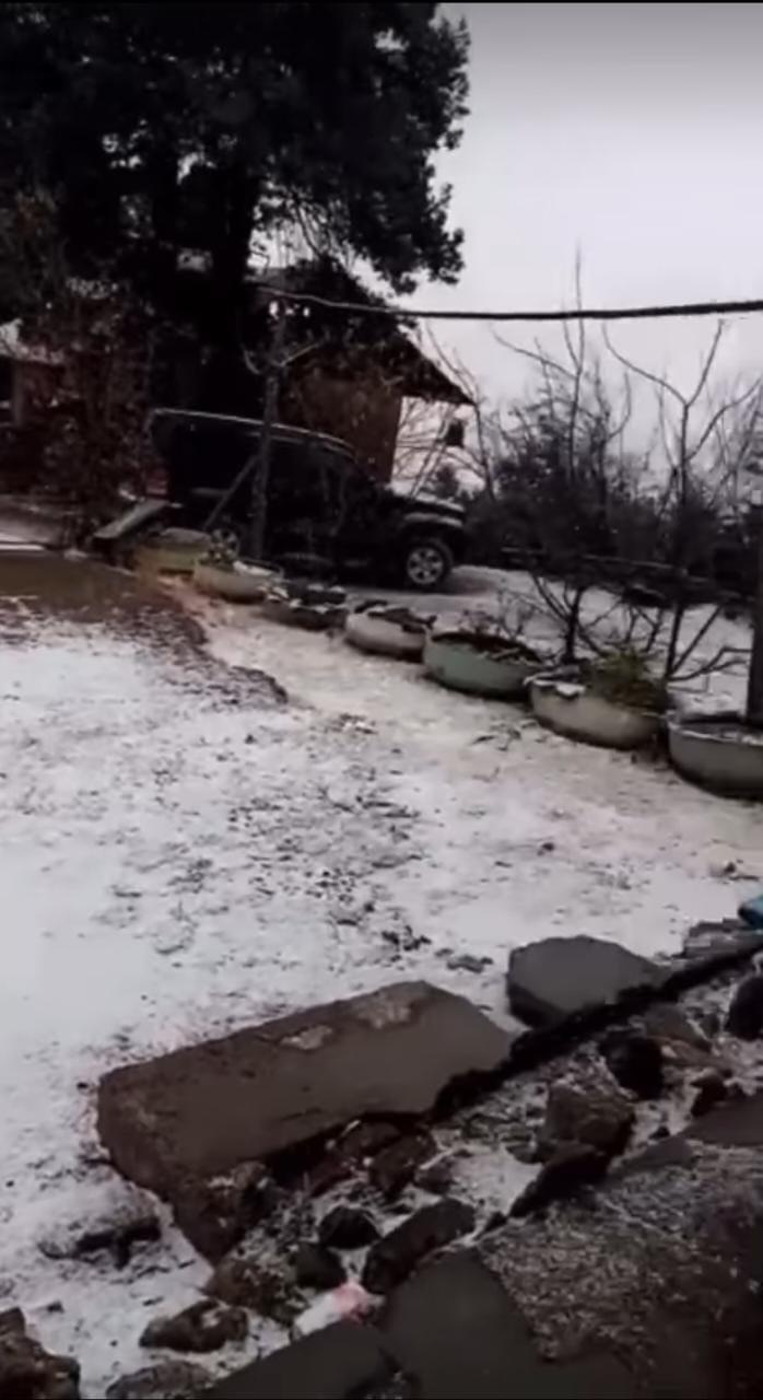 $!Nieve pinta de blanco la sierra de Badiraguato