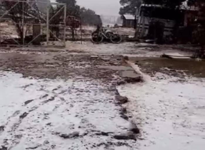 Nieve pinta de blanco la sierra de Badiraguato