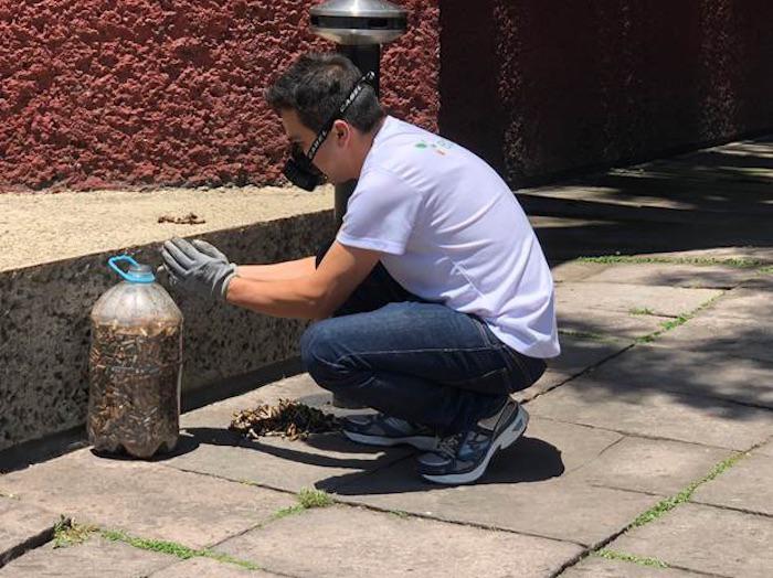 $!Ecofilter recolecta colillas en botellas PET para evitar los tóxicos emanan.