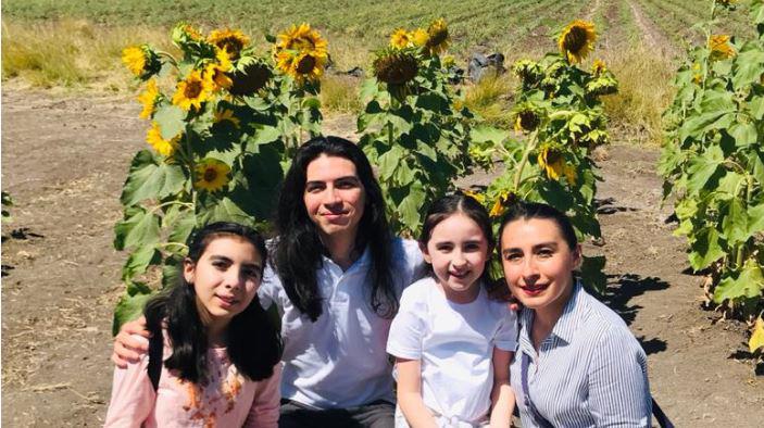 Florecen girasoles en Mocorito