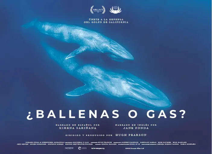 $!Lanzan documental en defensa de ballenas mexicanas con voces de Jane Fonda y Ximena Sariñana