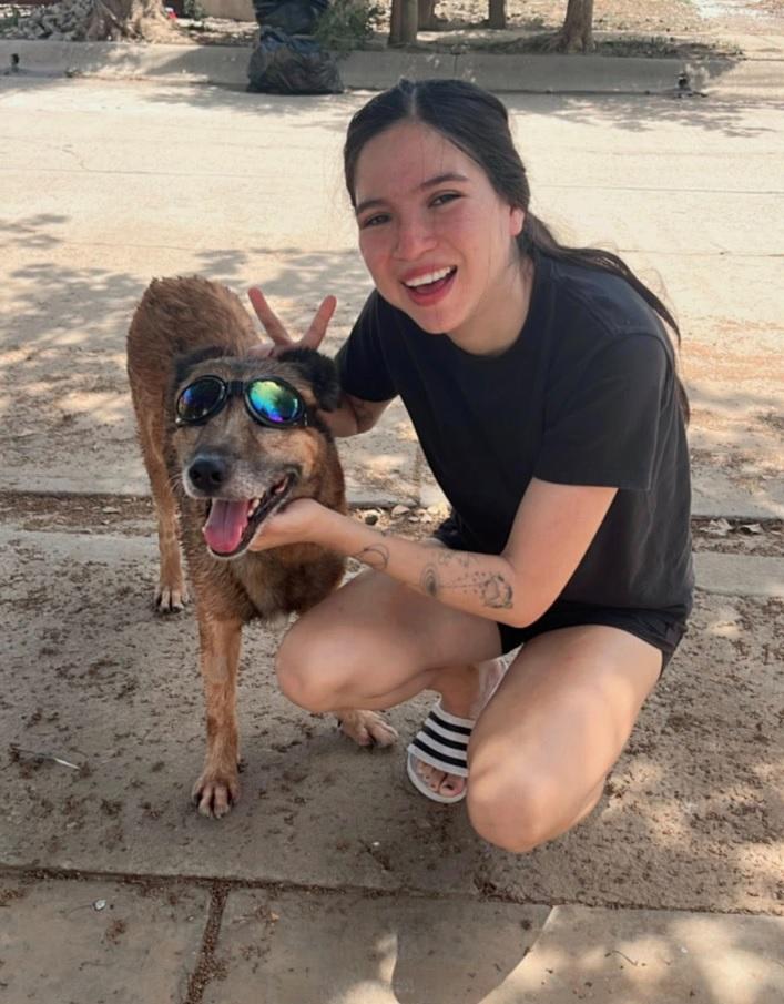 $!Fallece ‘Osito’, el perrito rescatado en Mazatlán tras ser golpeado con una pala