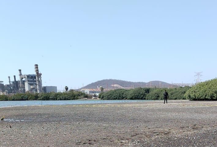 Rastreadoras localizan osamenta en marisma al sur de Mazatlán
