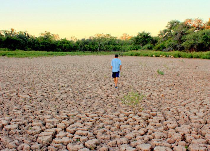 $!Sequía en el Gran Chaco argentino.