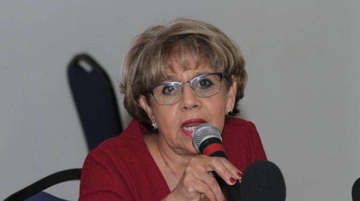 La diputada federal de Morena, Olegaria Carrazco Macías.