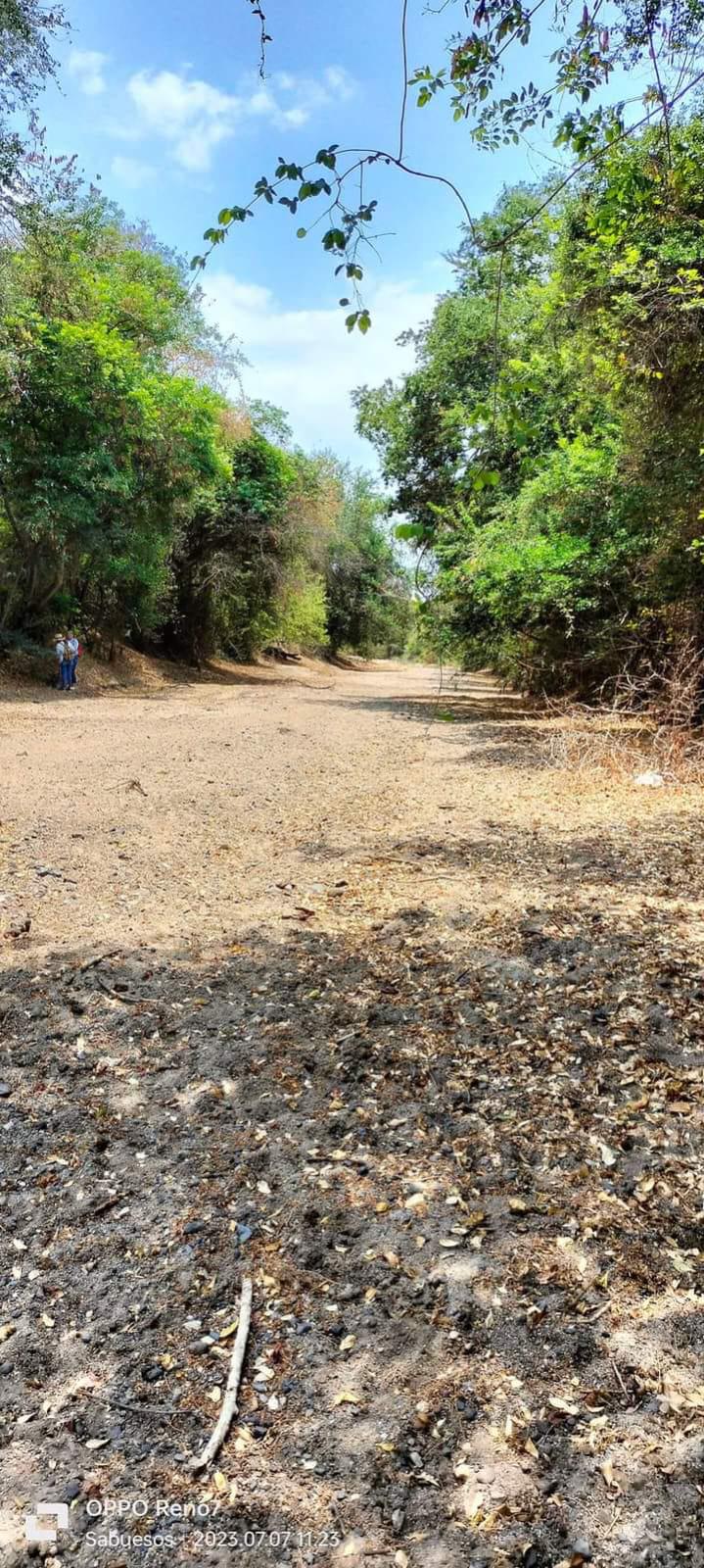 $!Sabuesas Guerreras hallan restos humanos cerca de carretera a Tepuche
