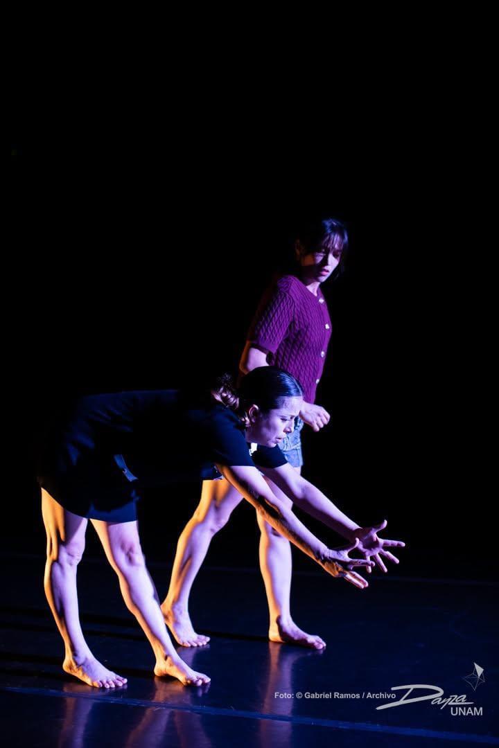 $!La obra Catástrofe, de la coreógrafa Xitlali Piña Poujol, llevará su lenguaje de teatro danza a la Red de Teatros del IMSS.