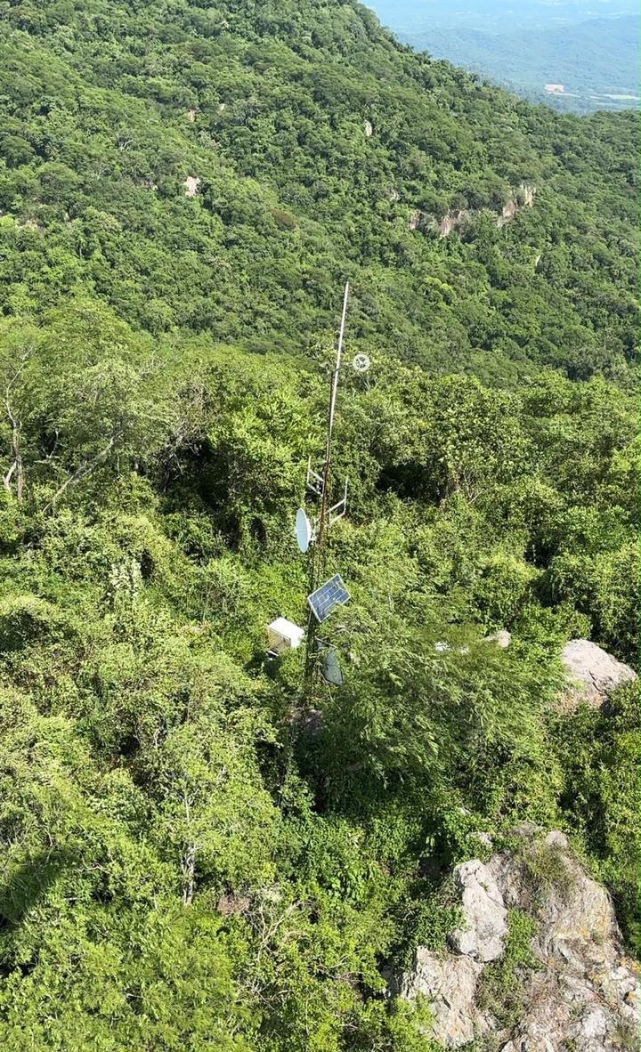 $!Marina asegura casi 8 mil cartuchos y tres antenas clandestinas en Escuinapa y Mazatlán