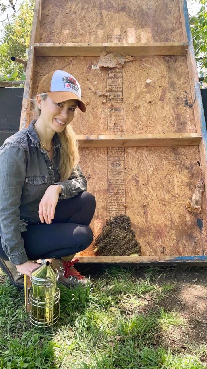 $!Culpa Chris Pratt a apicultora por picadura de abeja en su ojo