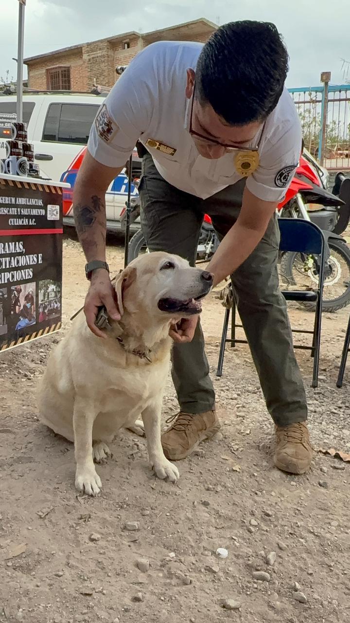 $!Se retira Aria, perrita socorrista de Grupo Gerum que acompañó rescates en Culiacán