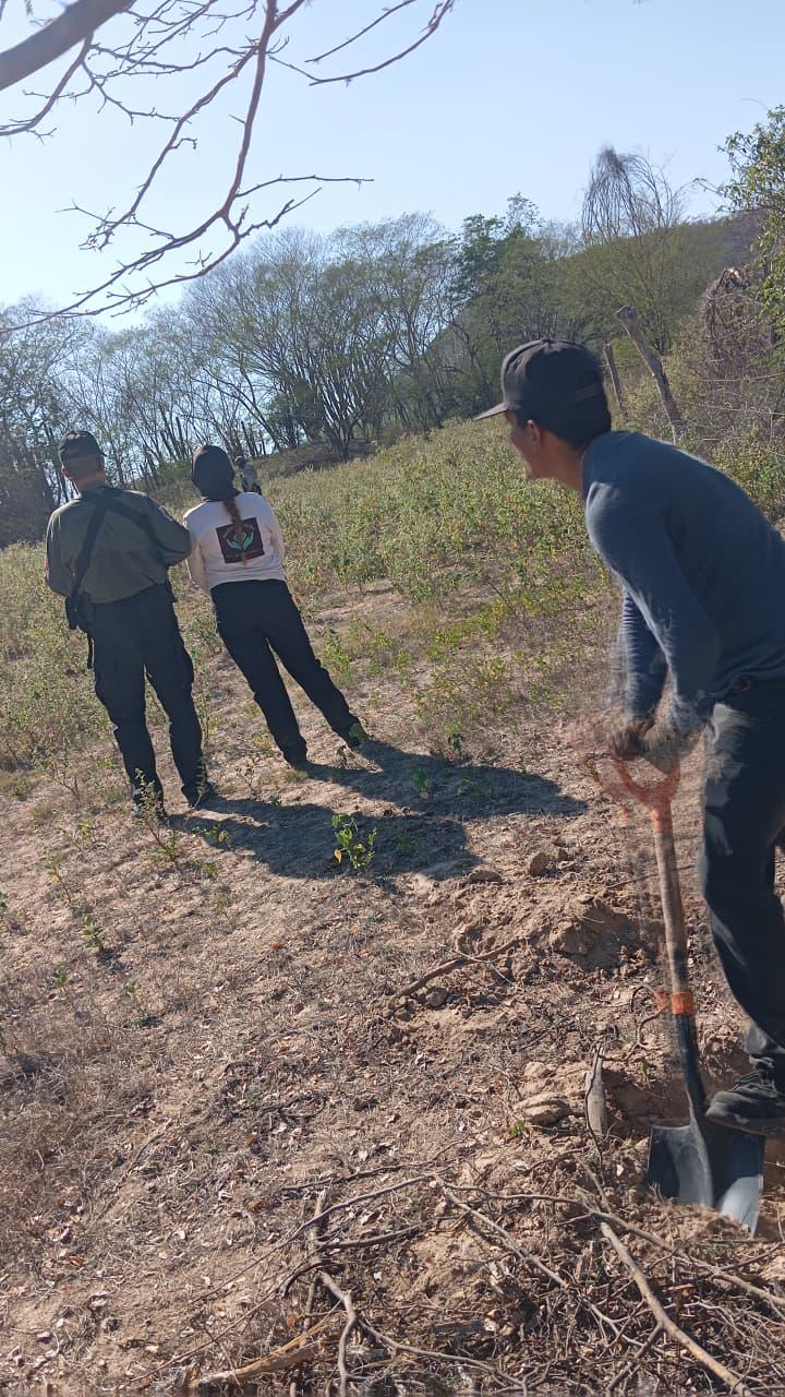 $!Hallan un cuerpo expuesto en terracería de El Guasimal, en Culiacán