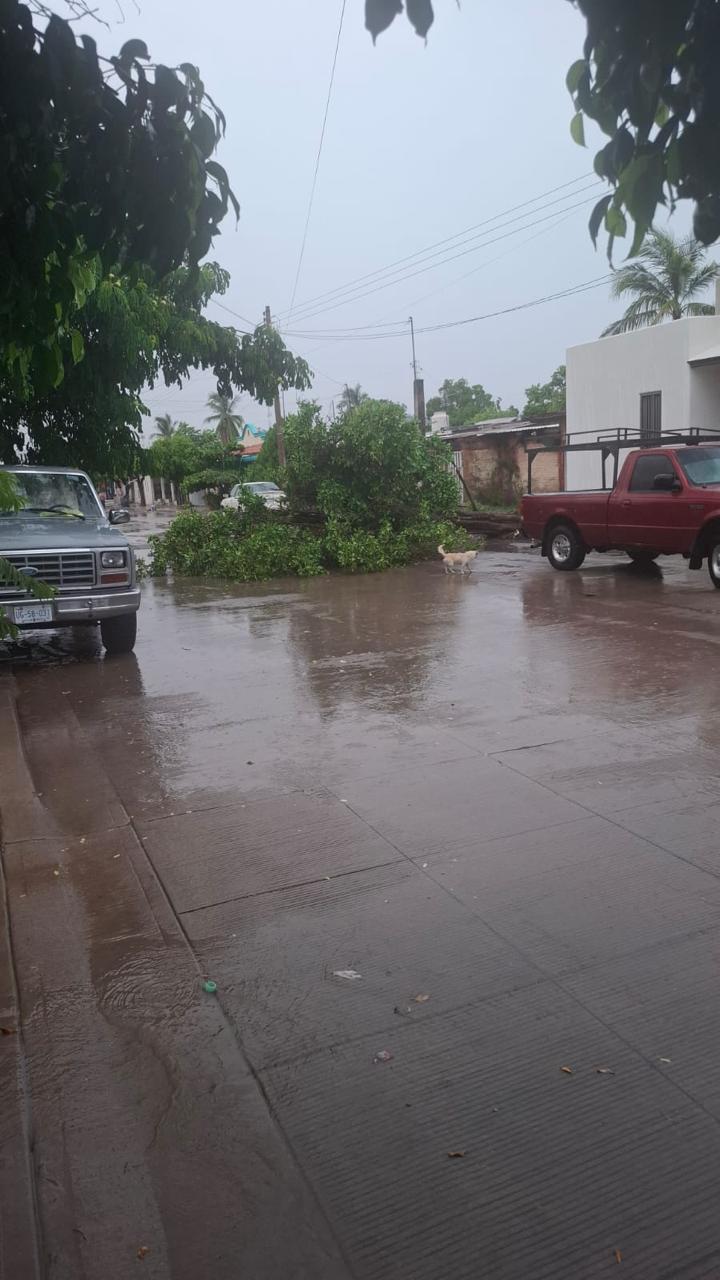 $!Alerta en Culiacán: Arroyos al límite tras intensas lluvias