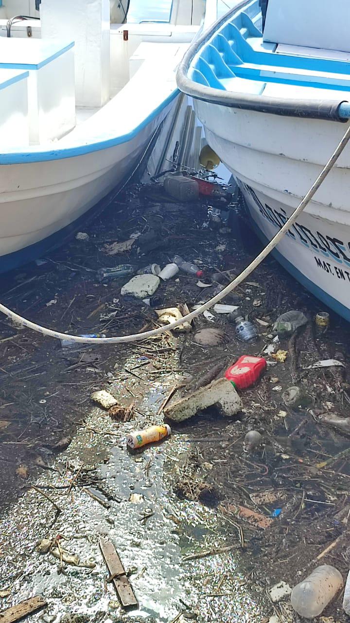 $!En Mazatlán, nada detiene la destrucción del Estero del Infiernillo