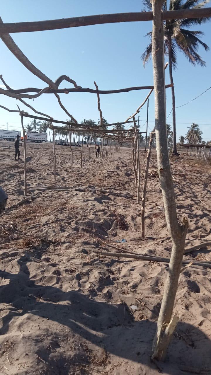 $!Falta de pago de salarios retrasa construcción de enramadas para las Fiestas del Mar de Las Cabras