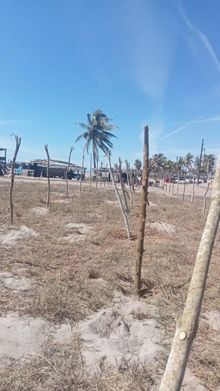 $!Falta de pago de salarios retrasa construcción de enramadas para las Fiestas del Mar de Las Cabras