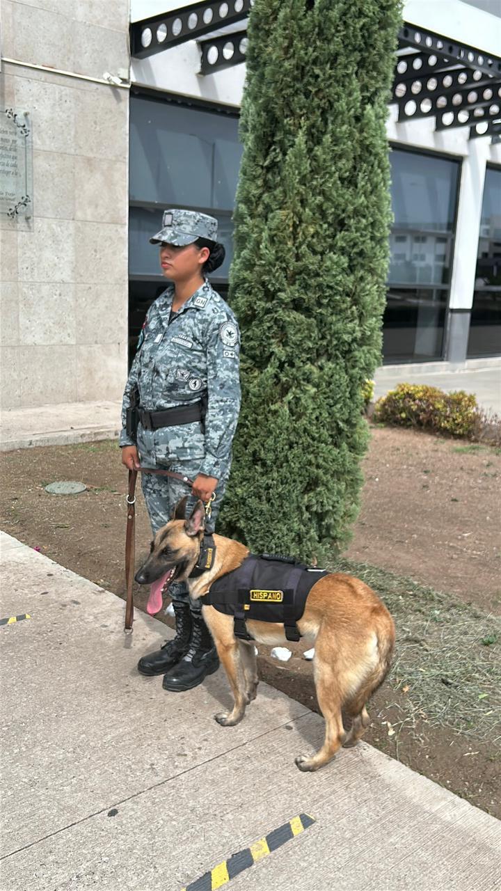 $!Conmemoran en El Sauz el séptimo aniversario de la Guardia Nacional