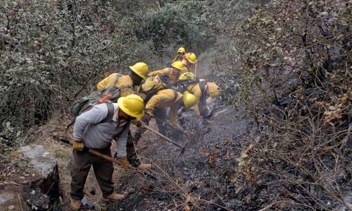 El incendio forestal registrado en el municipio de Tetela de Ocampo y Aquixtla tiene un 90% de control y un 50% de liquidación.
