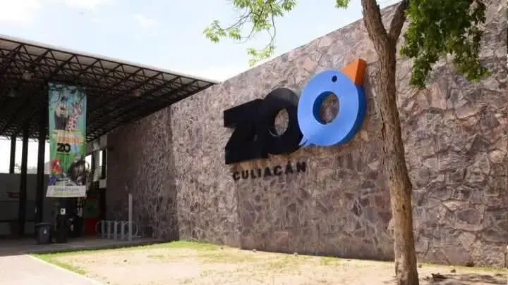 En los últimos meses el Zoológico de Culiacán ha sido foco mediático a nivel nacional pues en diciembre se reportó la desaparición de una jirafa.