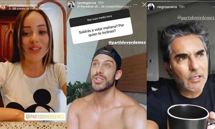 En las pasadas elecciones, varios influencers emitieron mensajes de apoyo al PVEM.